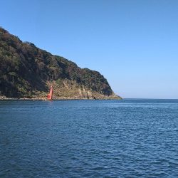 サゴシカッター連発